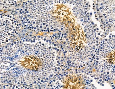 Валидация Affinity DF9091 - 21379