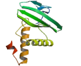 Protein Tyrosine Phosphatase Receptor Type Q (PTPRQ) Protein Tyrosine Phosphatase Receptor Type Q (PTPRQ)