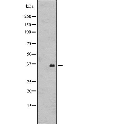 Валидация Affinity DF2791 - 13532