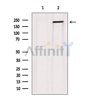 Валидация Affinity DF3551 - 14503