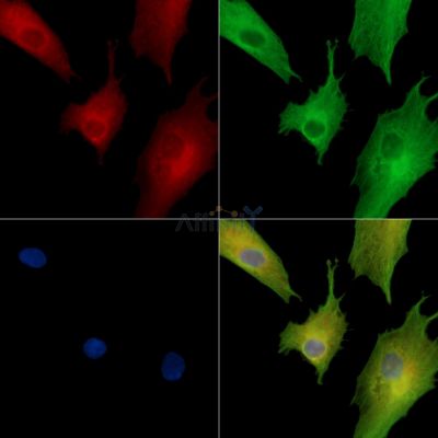 Валидация Affinity DF14274 - 10144