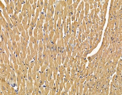 Валидация Affinity DF14897 - 11053