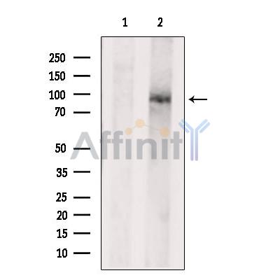 Валидация Affinity DF8609 - 20530