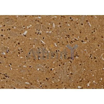 Валидация Affinity AF5464 - 3121