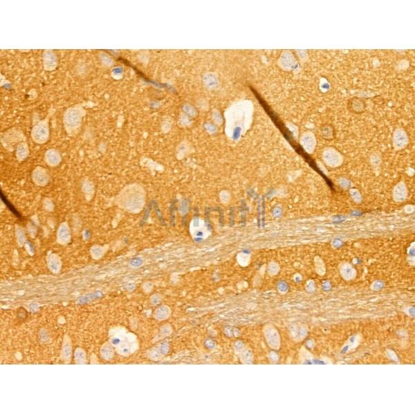 Валидация Affinity AF5324 - 2891