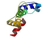 Pancreatic Polypeptide Receptor 1 (PPYR1) Pancreatic Polypeptide Receptor 1 (PPYR1)