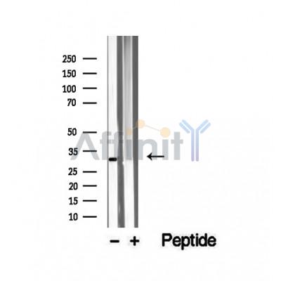 Валидация Affinity DF12499 - 7077