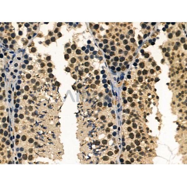 Валидация Affinity DF3079 - 13819