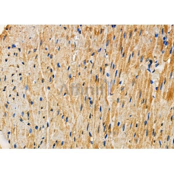 Валидация Affinity DF9932 - 22927