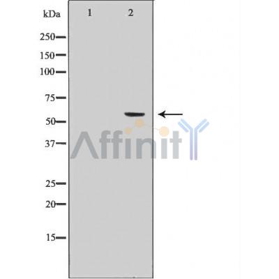 Валидация Affinity AF5229 - 2704