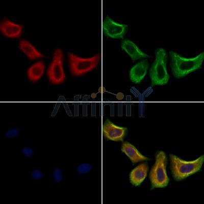 Валидация Affinity DF10170 - 5706