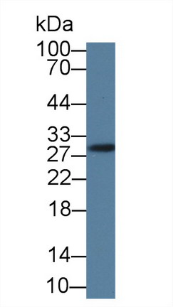8489