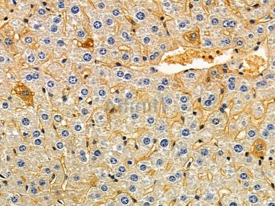 Валидация Affinity DF12928 - 7682