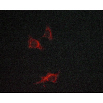 Валидация Affinity AF5311 - 2867