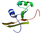 Visual Pigment Like Receptor Peropsin (RRH) Visual Pigment Like Receptor Peropsin (RRH)