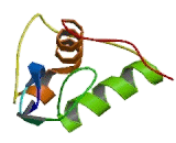 Nuclear Receptor Subfamily 2, Group F, Member 2 (NR2F2) Nuclear Receptor Subfamily 2, Group F, Member 2 (NR2F2)