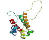 Interferon Alpha 8 (IFNa8) Interferon Alpha 8 (IFNa8)
