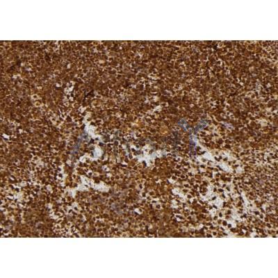 Валидация Affinity DF7452 - 19210