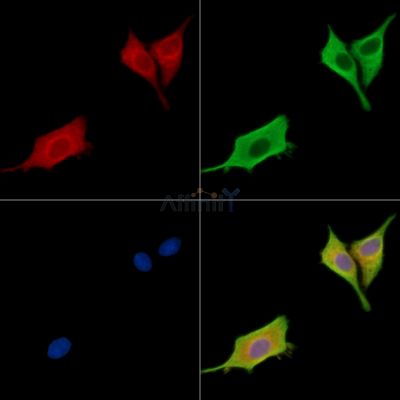 Валидация Affinity DF15622 - 12055