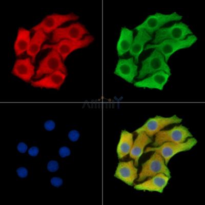 Валидация Affinity DF14812 - 10917