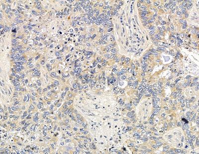 Валидация Affinity DF15499 - 11873