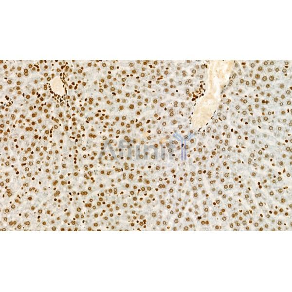 Валидация Affinity DF3196 - 14014