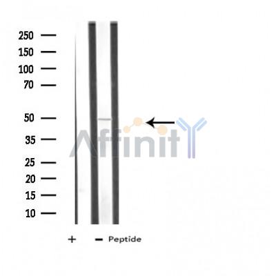 Валидация Affinity DF3976 - 15200