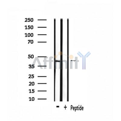 Валидация Affinity DF2842 - 13604