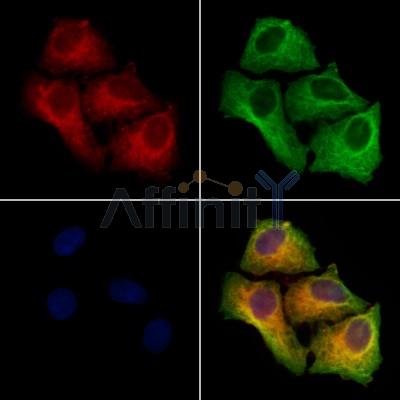 Валидация Affinity DF12333 - 6750