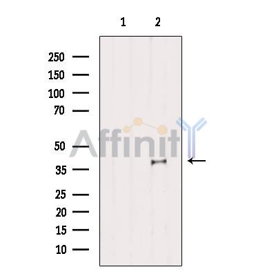 Валидация Affinity DF10262 - 5862