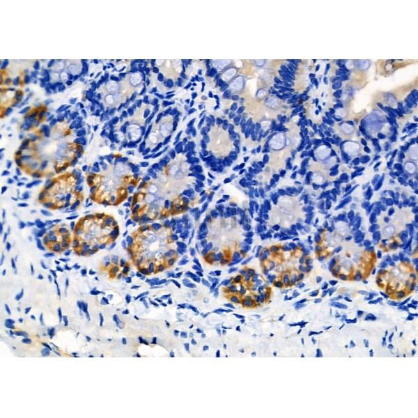 Валидация Affinity DF3507 - 14430