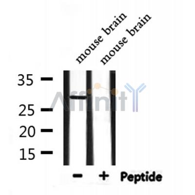 Валидация Affinity DF9720 - 22513