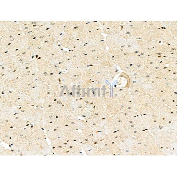 Валидация Affinity DF4467 - 15992