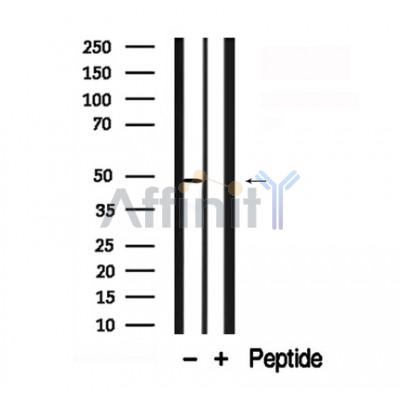 Валидация Affinity AF7769 - 4477