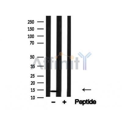 Валидация Affinity AF4661 - 2276
