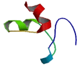 Tumor Necrosis Factor Receptor Superfamily, Member 17 (TNFRSF17) Tumor Necrosis Factor Receptor Superfamily, Member 17 (TNFRSF17)