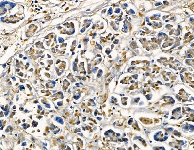 Валидация Affinity DF4134 - 15434