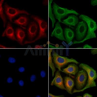 Валидация Affinity AF6402 - 3695