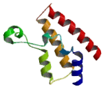 SWI/SNF Related, Matrix Associated, Actin Dependent Regulator Of Chromatin, Subfamily A, Member 4 (SMARCA4)
