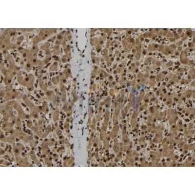 Валидация Affinity DF8319 - 20173