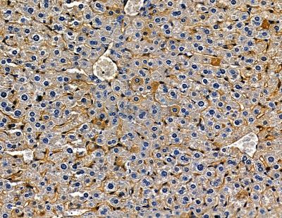 Валидация Affinity DF13823 - 9509