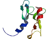 Opioid Receptor Sigma 1 (OPRs1) Opioid Receptor Sigma 1 (OPRs1)