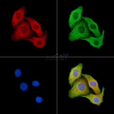 Валидация Affinity DF14251 - 10103