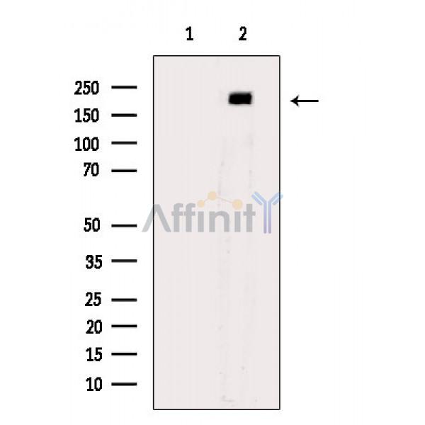 Валидация Affinity DF7597 - 19367