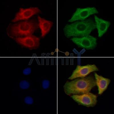 Валидация Affinity DF13409 - 8694