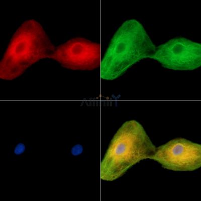 Валидация Affinity DF14828 - 10941