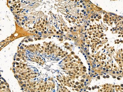 Валидация Affinity DF14430 - 10382