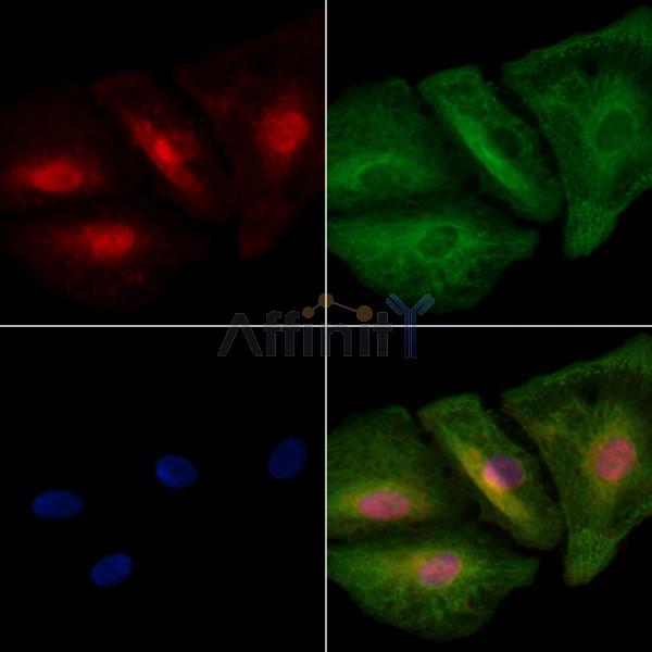 Валидация Affinity DF2581 - 13261