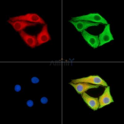 Валидация Affinity DF15027 - 11240