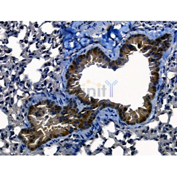 Валидация Affinity AF5165 - 2578